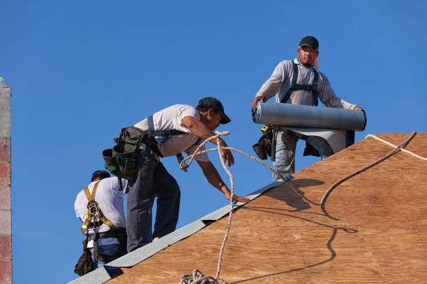 Best Flat Roof Repair Services  in Wilton Manors, FL